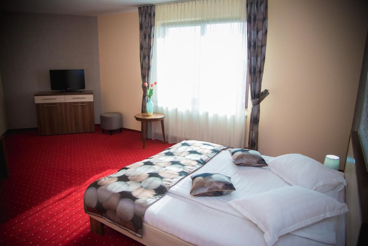 Отель Hotel Stefani Сибиу-44