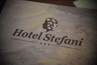 Отель Hotel Stefani Сибиу Двухместный номер с 1 кроватью-5